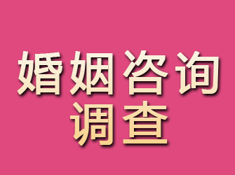 晋中婚姻咨询调查